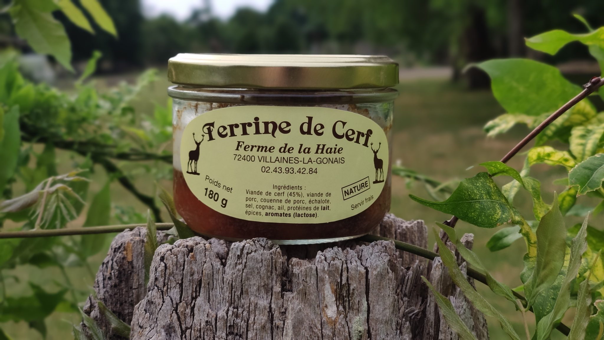 Terrine de cerf nature CERFDUPERCHE